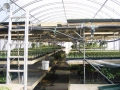 2003-04-25 03.31.06